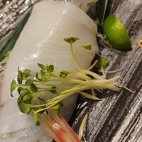 鮨 からす 十三店 - 