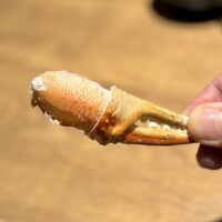 とり料理 鳥者 - 