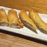 鳥とブルーチーズの春巻き　iPhone15 Pro メインカメラ