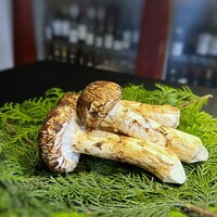 日本料理 TOBIUME - この日の特別ゲスト様は、、キャ～～素晴らしい。ヽ(≧∀≦)ﾉ ◆松茸様の登場です。大好きなので嬉しいですね。キャッキャ。