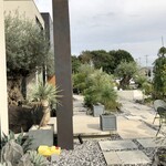 ラ・コート・ダジュール - オリーブの古木がシンボル