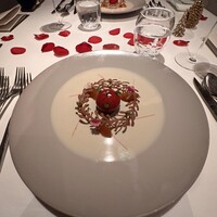 ジョンティ アッシュ - 