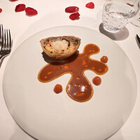 ジョンティ アッシュ - 