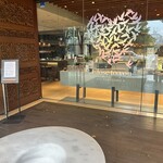 フォルテシモ アッシュ - 