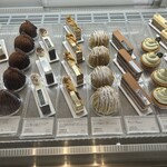 フォルテシモ アッシュ - 