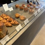 フォルテシモ アッシュ - 