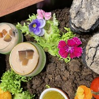 Le Nez - 