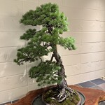 炭火焼きリリー - 