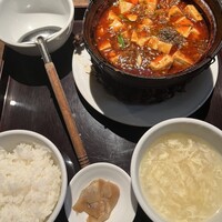 雪梅花 菜根譚 - 