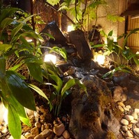 北新地しゃぶしゃぶすき焼き きらく - 