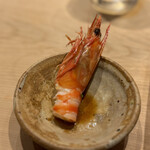 すしやのたい悟 - 車エビ