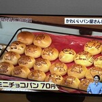 くまねこぱん - 料理写真:アド街