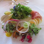 ザ・フジヤ - 彩サラダ（普通）