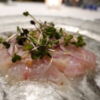 リストランテ アクアパッツァ - クロムツのカルパッチョ