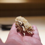 鮨 一幸 - とろ松：この時期のスペシャリテ