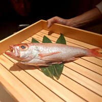 のどぐろ専門 銀座中俣 極 - 