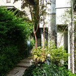 フレッシュクリーム - 