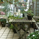 フレッシュクリーム - 中庭