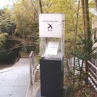 エルルカン・ビス - 