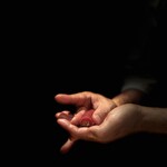 江戸前鮓 すし通 - 