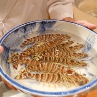 日本料理 別府 廣門 - 