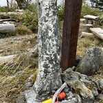 ながたの湯 食堂 - 