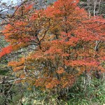 ながたの湯 食堂 - 