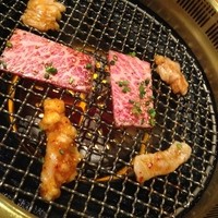 喜福世 - 