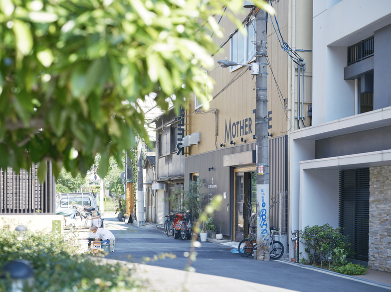 CRAFT BEER BASE MOTHER TREE