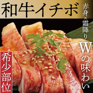 肉焼き居酒屋 まほろ_2
