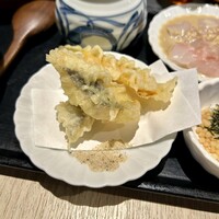 僧伽小野 京都浄教寺 - 