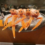 Restaurant DESTINA - 赤座海老