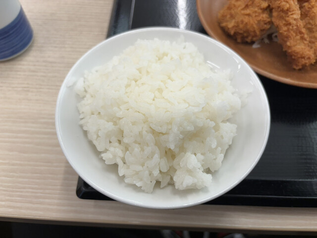 かつや 旭川東光店 - 旭川四条（かつ丼）の写真