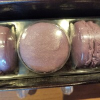 スミレオオサカ - 