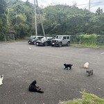 おかし工房Botan - 