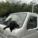 おかし工房Botan - 