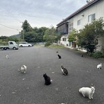 おかし工房Botan - 