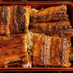 炭焼うなぎ あおいや - うな重（ご飯大盛）