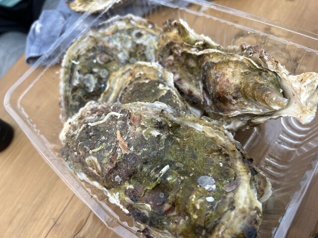 道の駅やまだおいすた - 陸中山田（道の駅）の写真