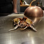 八重洲 steak & seafood 鉄板焼き 一心 - 伊勢海老