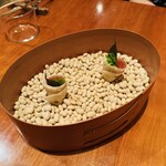 ルカ - ピアディーナ