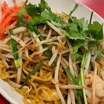 餃子屋 弐ノ弐 博多駅地下街店 - 上海焼きそば　エビぷりぷりでパクチーが良き