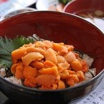 Ezogashima - 人気の　生うに丼