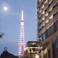 ジャヌ メルカート - 