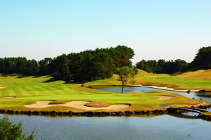 杜のレストラン 北上 - 藤根（揚げ物）の写真