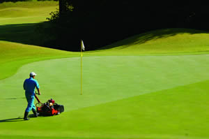 杜のレストラン 北上 - 藤根（揚げ物）の写真