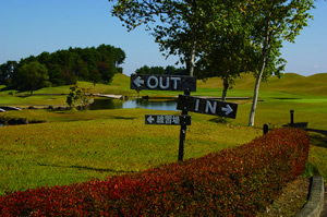 杜のレストラン 北上 - 藤根（揚げ物）の写真