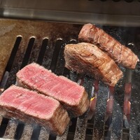 PONGA PREMIUM - 