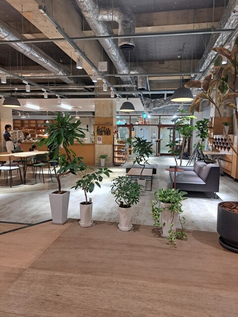 mew CAFE by popotto photo 5