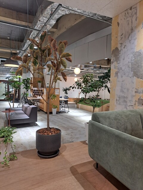 mew CAFE by popotto photo 4